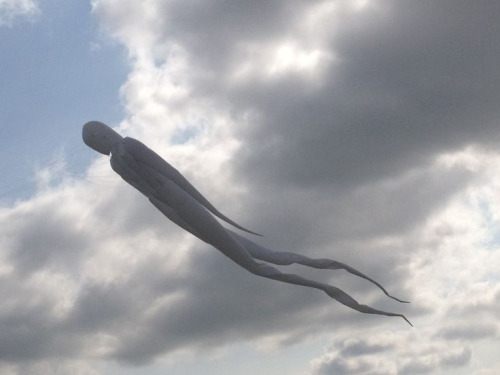 Human Kite