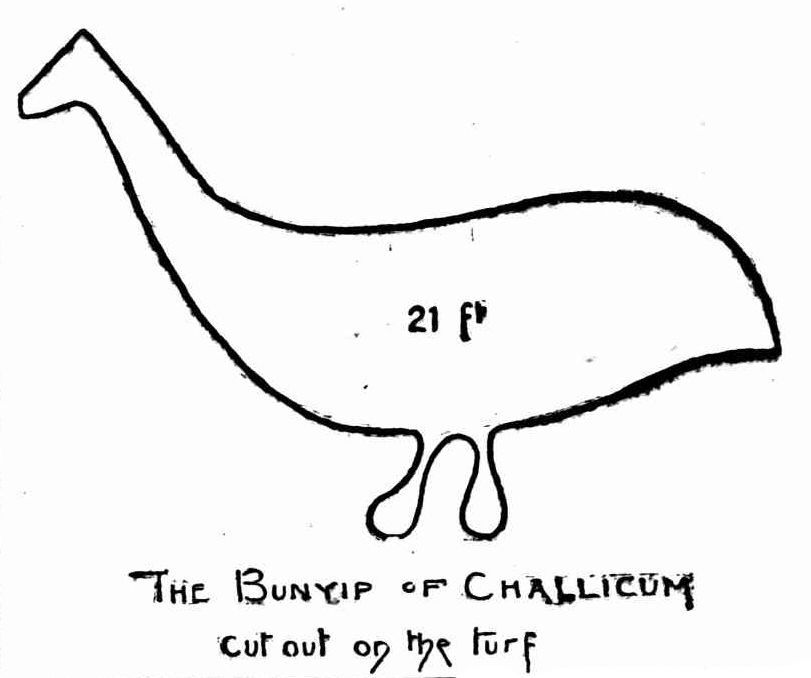 the Bunyip of Challicum