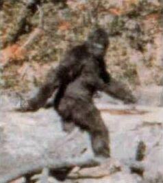 Frame from Patterson-Gimlin Film