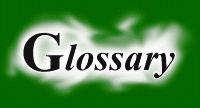 Glossary