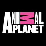 Animal Planet Logo